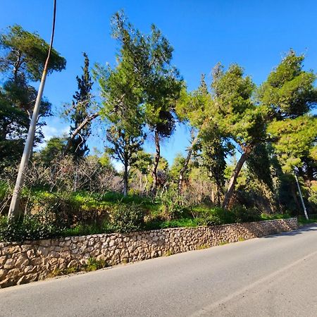 Cozy Apartment For 4 In Kolonaki, Lycabettus أثينا المظهر الخارجي الصورة