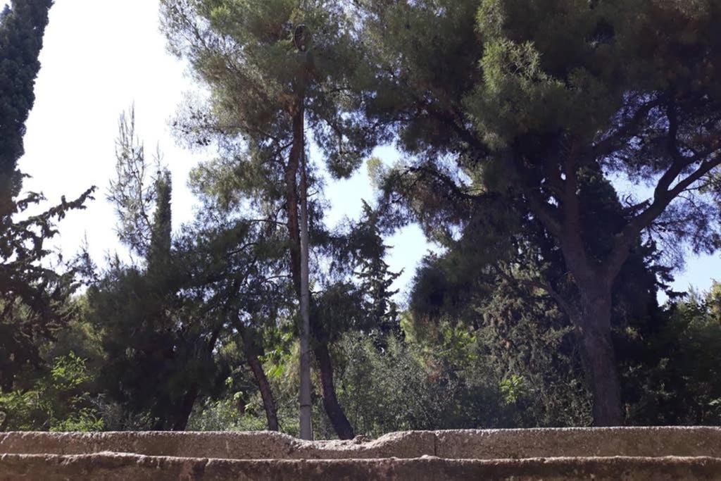 Cozy Apartment For 4 In Kolonaki, Lycabettus أثينا المظهر الخارجي الصورة